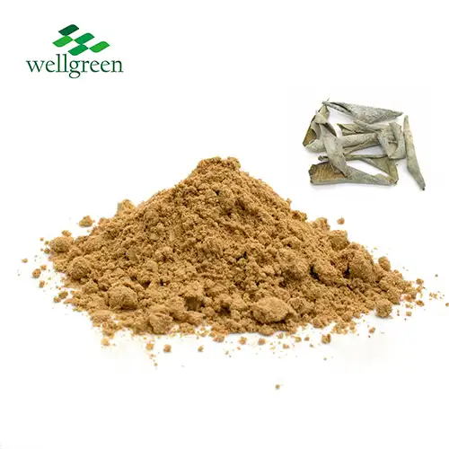 Exploring the Medicinal Uses of Benincasa Hispida Peel Extract